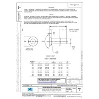 SAE AS123451C