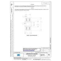 SAE AS21443C