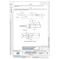 SAE AS81969/19A