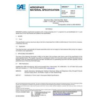 SAE AMS4063F