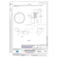 SAE AS7513A