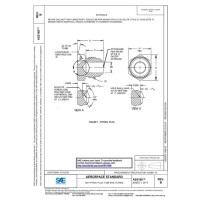 SAE AS5168B