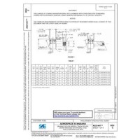 SAE AS21447C