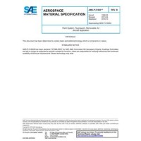 SAE AMSP21600B