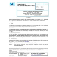 SAE AMS5834E