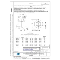 SAE AS9768