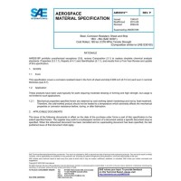 SAE AMS5519P