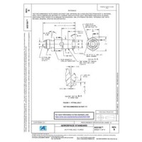 SAE AS5160B