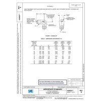 SAE AS6099B