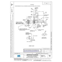 SAE AS3117B