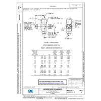 SAE AS1036K