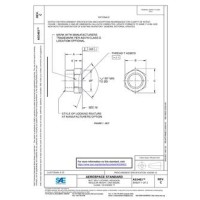 SAE AS3483C