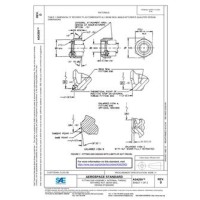 SAE AS4209D