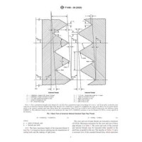 ASTM F1498-08(2020)