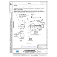 SAE AS9806B