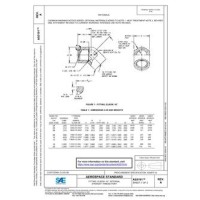 SAE AS5191A