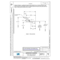 SAE AS1895/3D