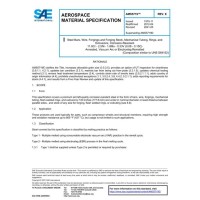 SAE AMS5719E