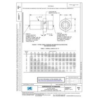 SAE AS6047D