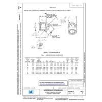SAE AS5191B