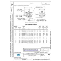 SAE AS933E