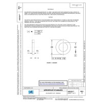 SAE AS9320C