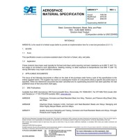 SAE AMS5513L