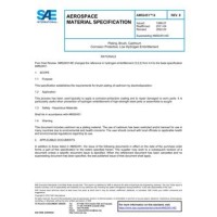 SAE AMS2451/4E