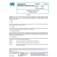 SAE AMS5894E