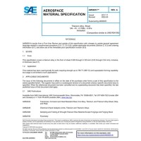 SAE AMS6951A