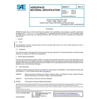 SAE AMS4213B