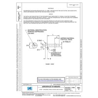 SAE AS125551C