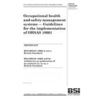 BS OHSAS 18002:2000