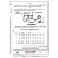 SAE AS24651B