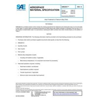 SAE AMS2801D