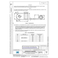 SAE AS25189C