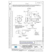 SAE AS3099B