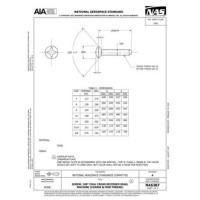 AIA NAS387