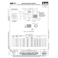 AIA NAS5318