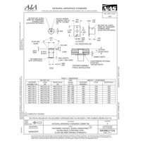 AIA NASM17731