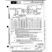 AIA NAS517