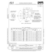 AIA NAS5319