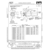 AIA NASM21287