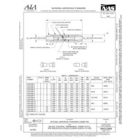 AIA NAS1389