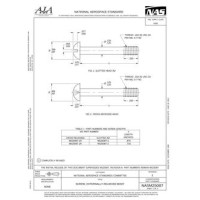 AIA NASM25087