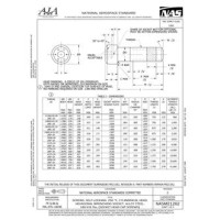 AIA NASM21262