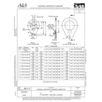 AIA NAS513