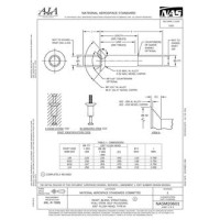 AIA NASM20601