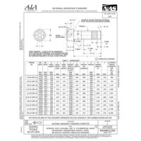 AIA NASM21295