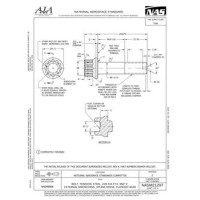 AIA NASM21297